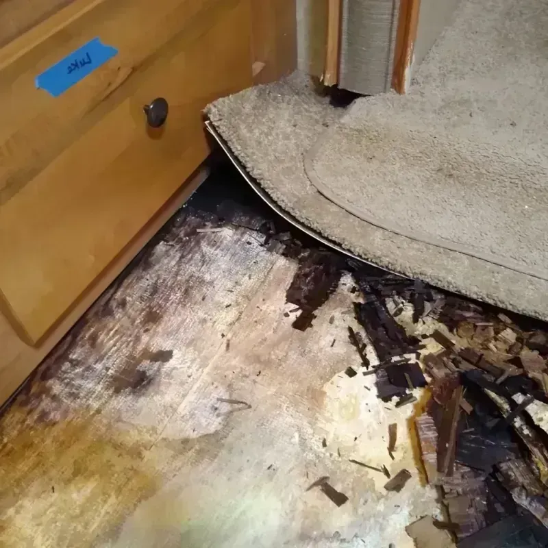 Wood Floor Water Damage in Orange County, VA